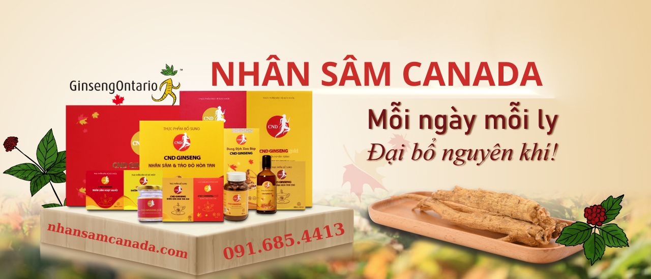 NHÂN SÂM CANADA
