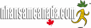 logo-footer